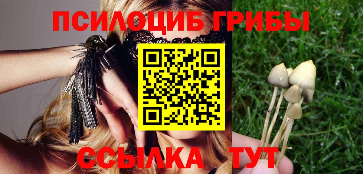 Галлюциногенные грибы прущие грибы Курган