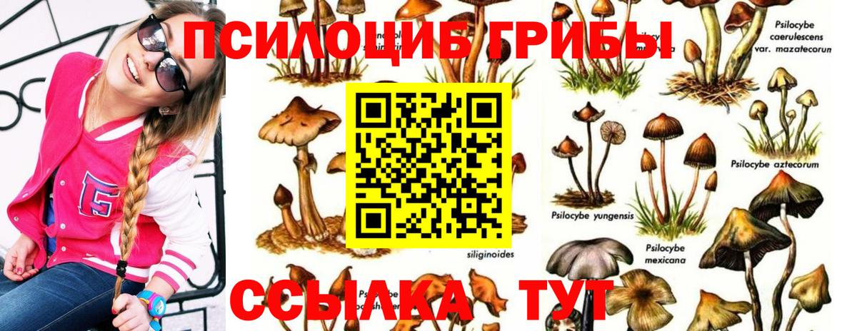 Псилоцибиновые грибы мухоморы  Вход с VPN  Псилоцибиновые грибы GOLDEN TEACHER  Курган 